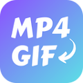 MP4 到 GIF 转换器